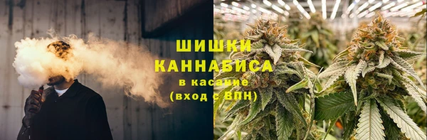 шишки Балахна